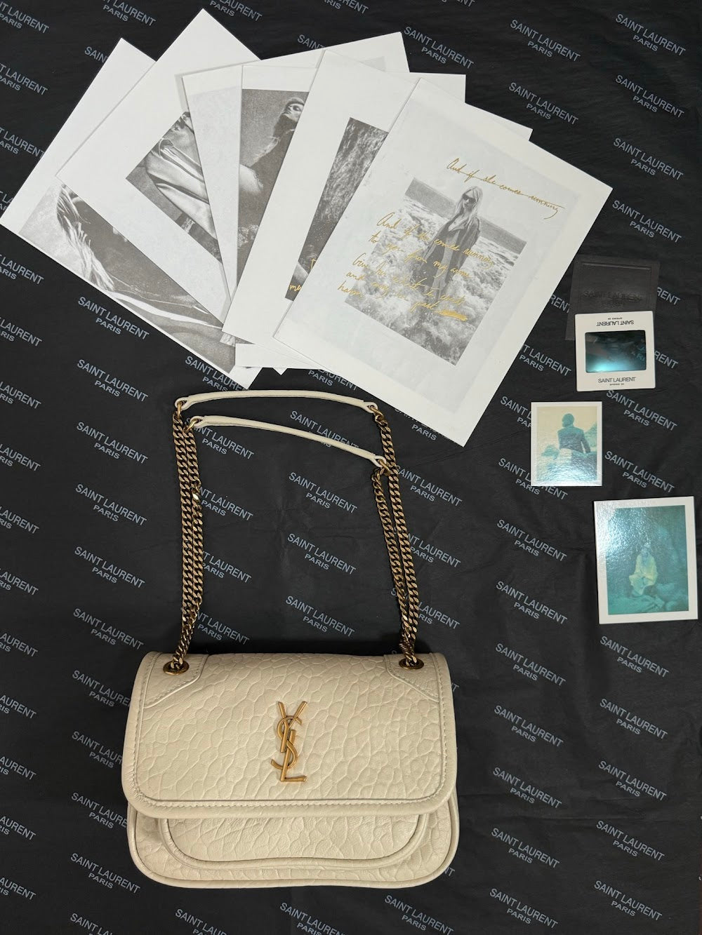 Dragons Bags YSLn Luxury Bag --119451
