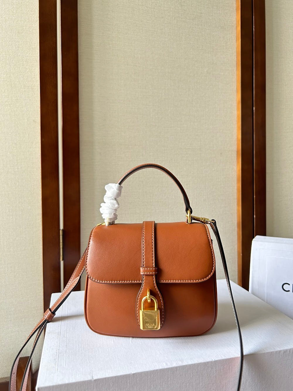 Dragons Bags Celine Luxury Bag --112528