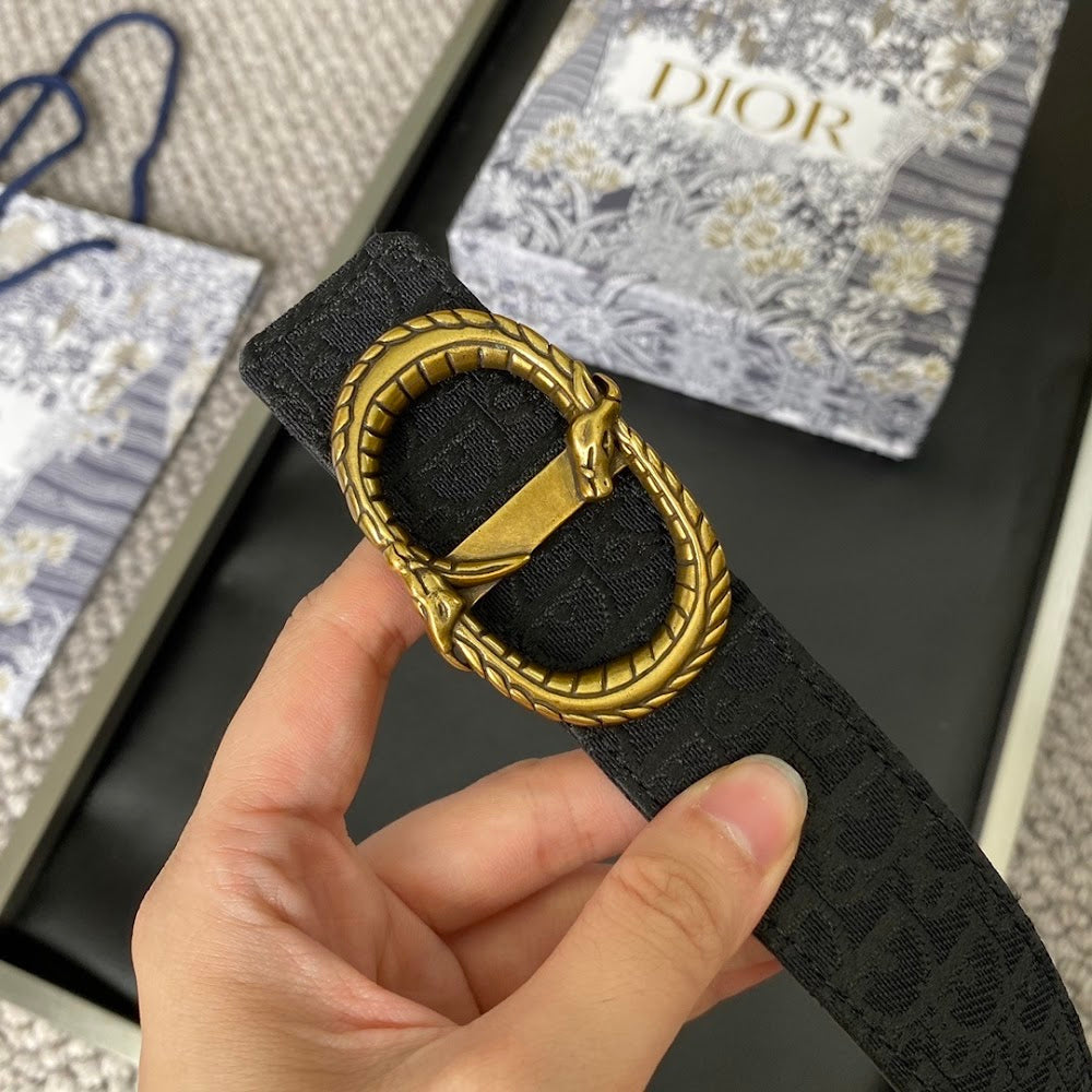 Dragons Bags Diorn Luxury Belt --104902