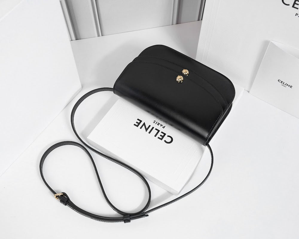 Dragons Bags Celine Luxury Bag --112594