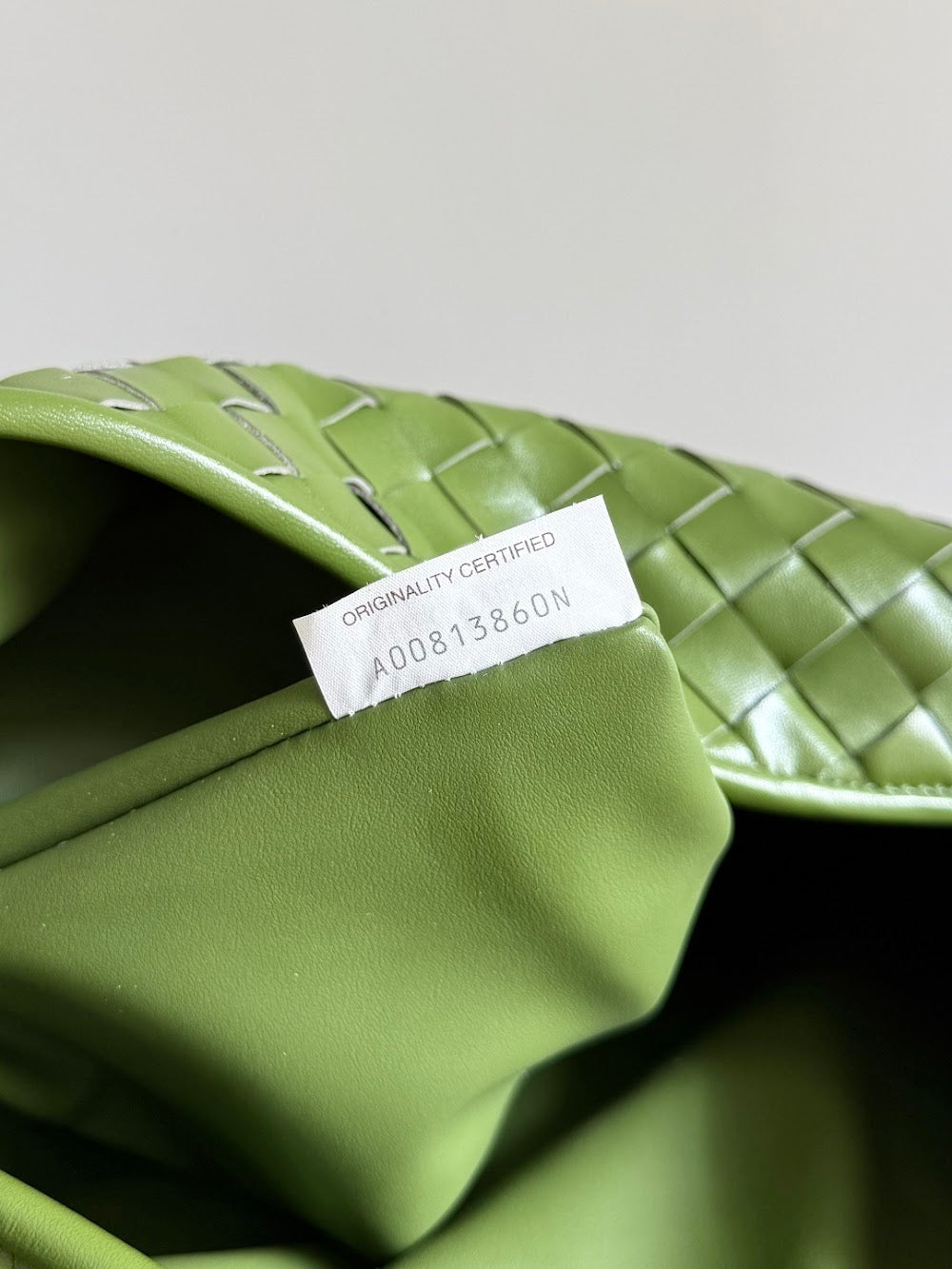 Dragons Bags Bottegan Luxury Bag --90452