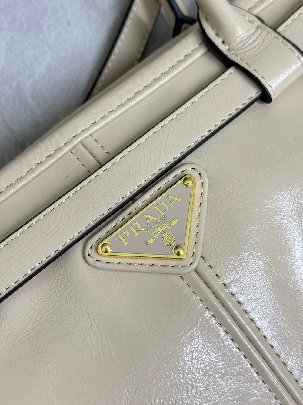 Dragons Bags Pradn Luxury Bag --101363