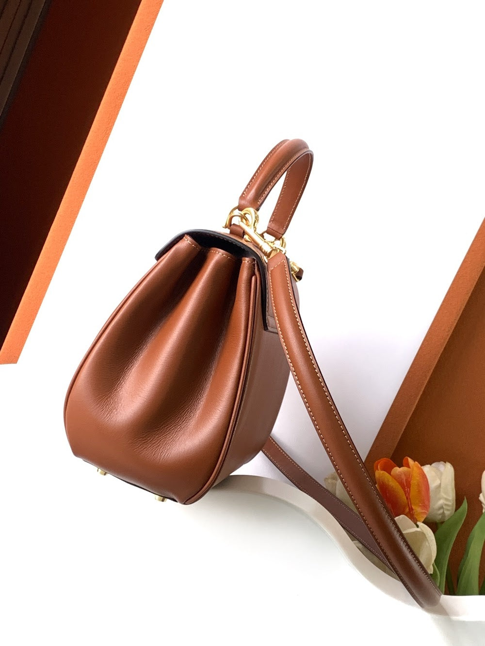 Dragons Bags Celine Luxury Bag --112178
