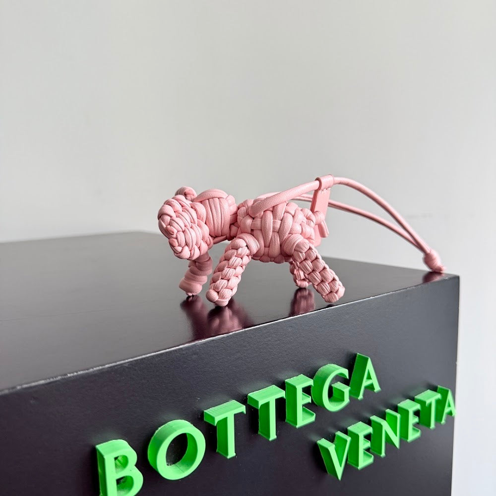 Dragons Bags Bottegan Luxury Bag --91460