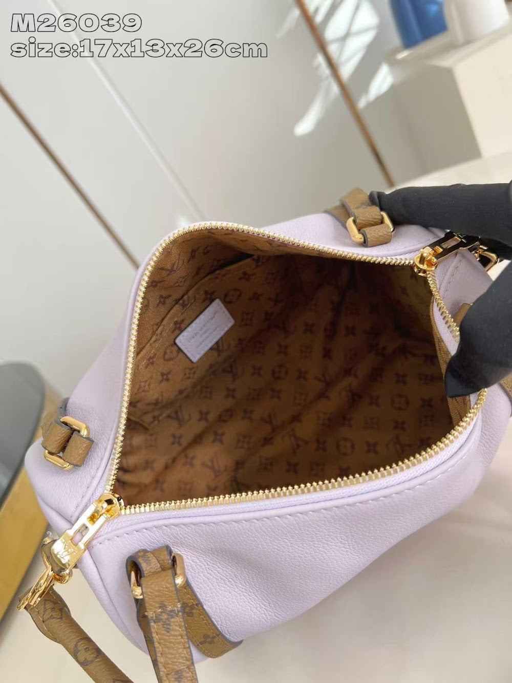 Dragons Bags ln Luxury Bag --95885