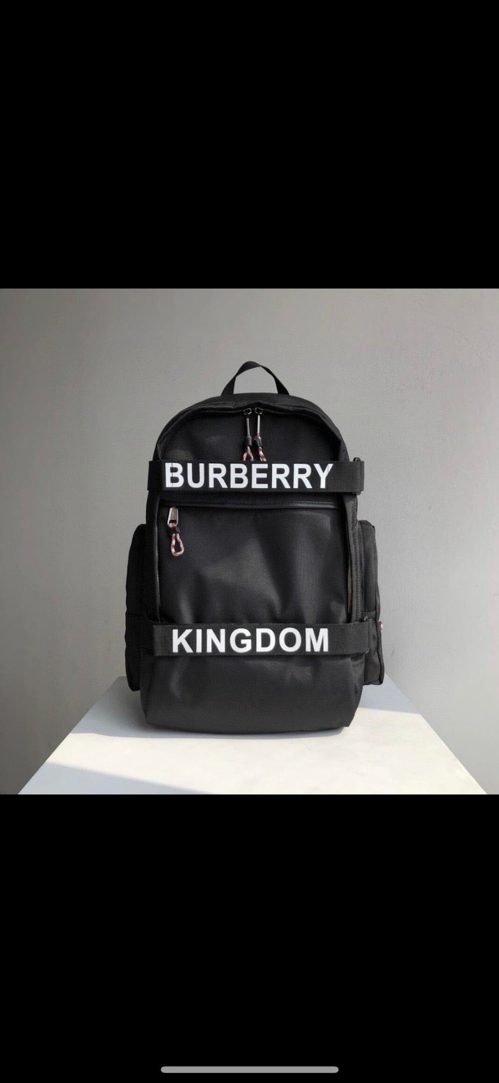 Dragons Bags Burberryn Luxury Bag --91653
