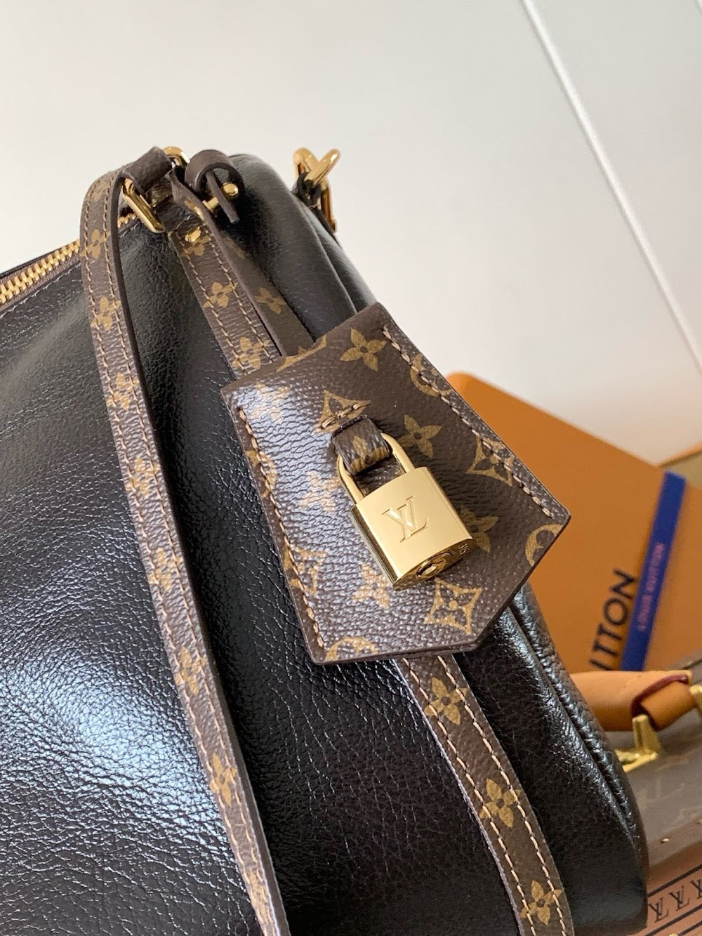 Dragons Bags LVn Luxury Bag --80223