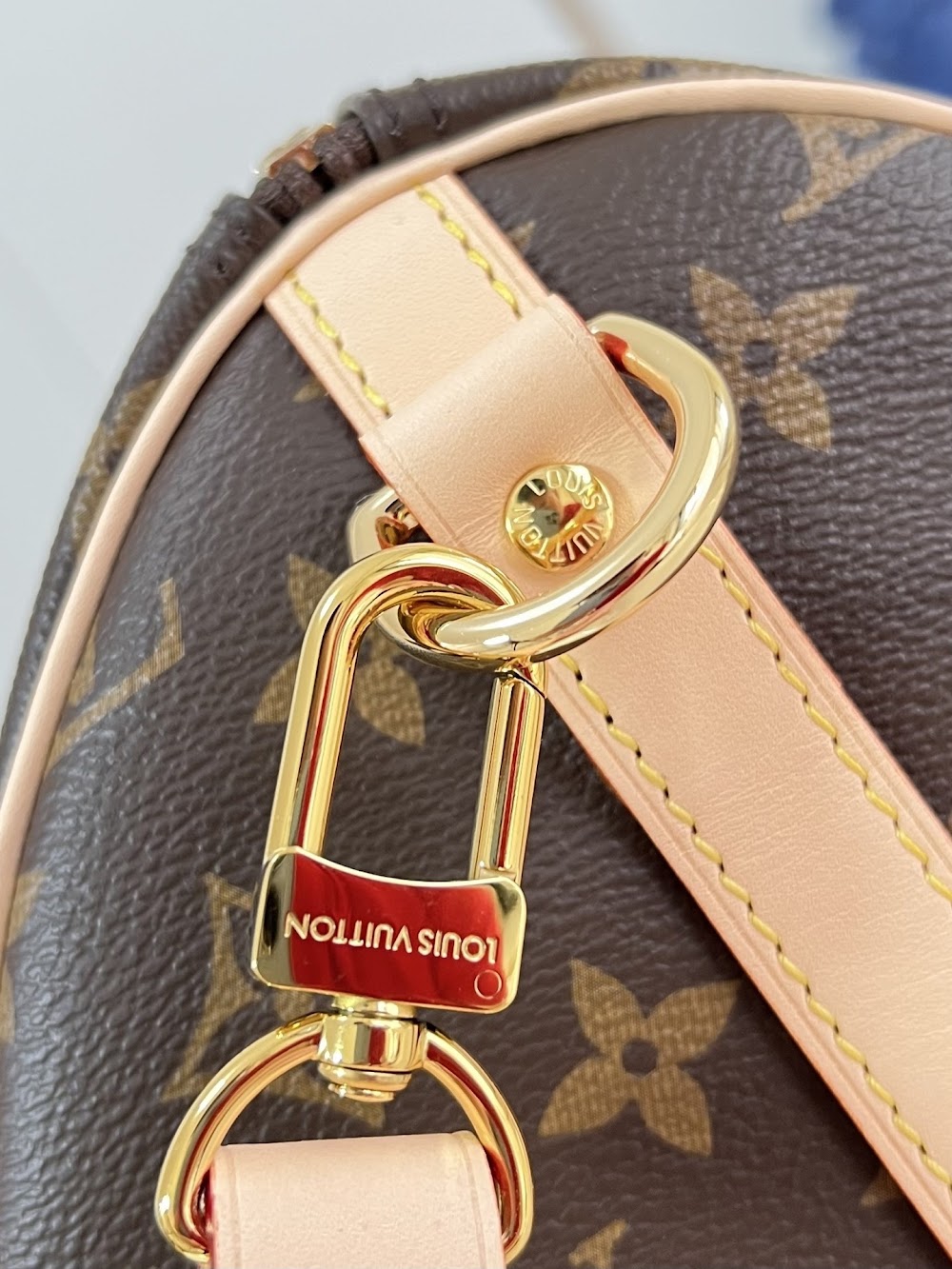 Dragons Bags ln Luxury Bag --96363
