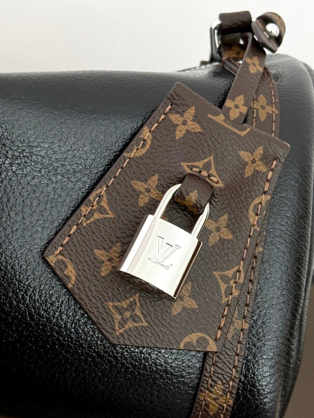 Dragons Bags ln Luxury Bag --96298