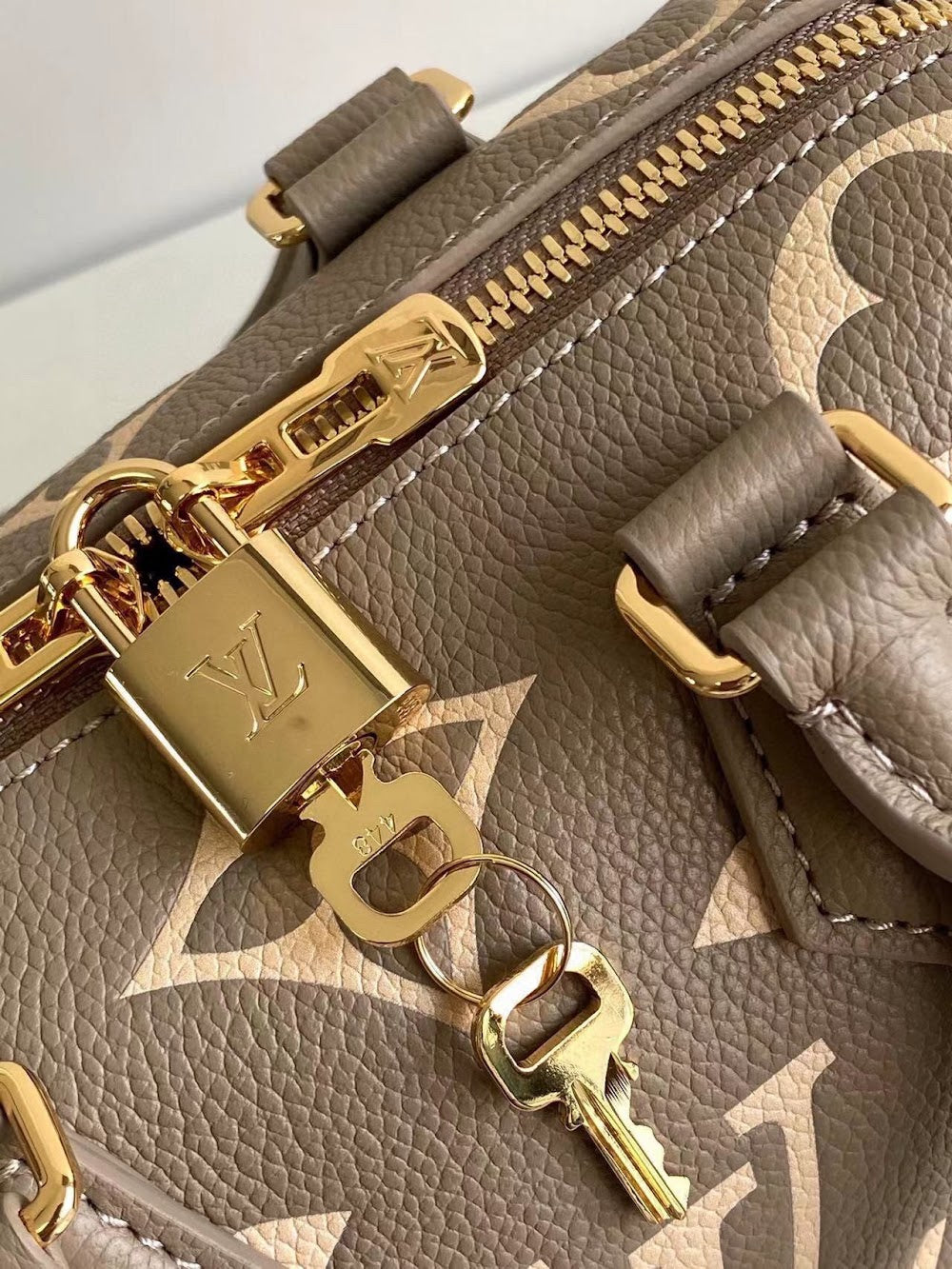 Dragons Bags ln Luxury Bag --96948