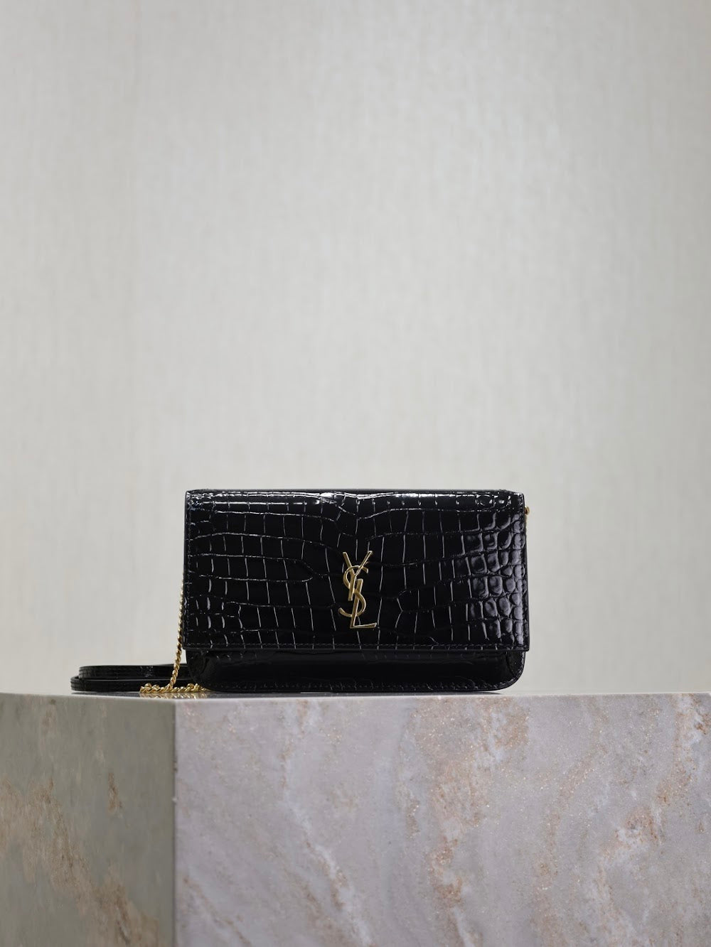 Dragons Bags YSLn Luxury Bag --120476