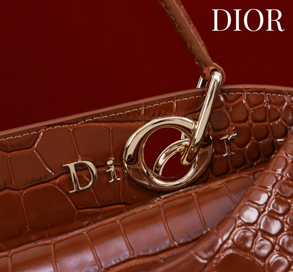 Dragons BagsDiorn Luxury Bag --114797