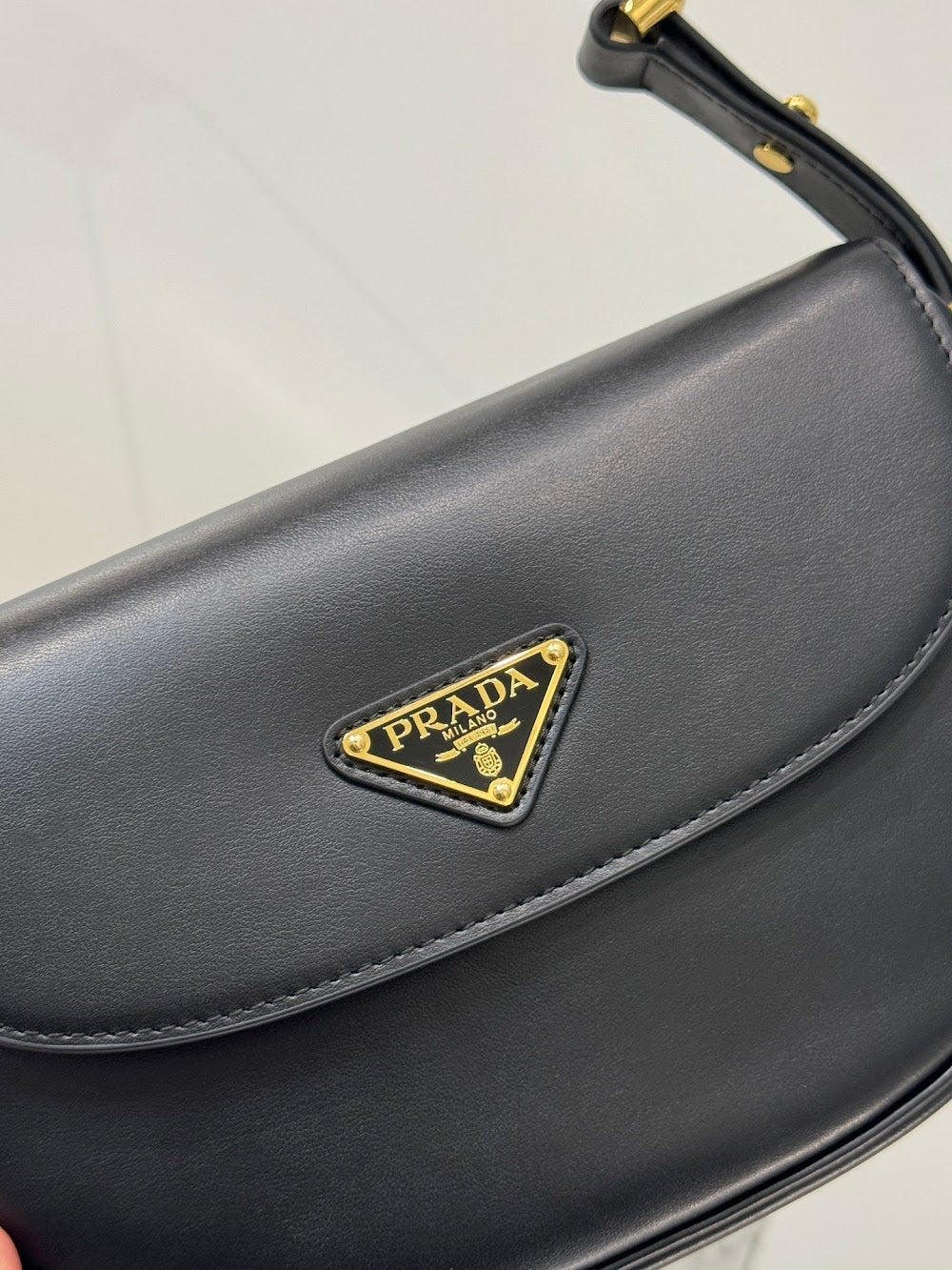 Dragons Bags Pradn Luxury Bag --102090