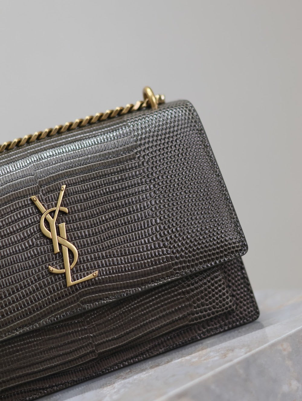 Dragons Bags YSLn Luxury Bag --119544