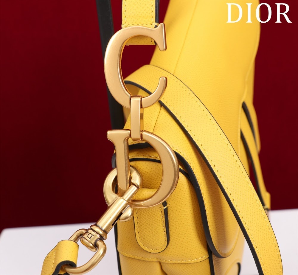 Dragons BagsDiorn Luxury Bag --116493