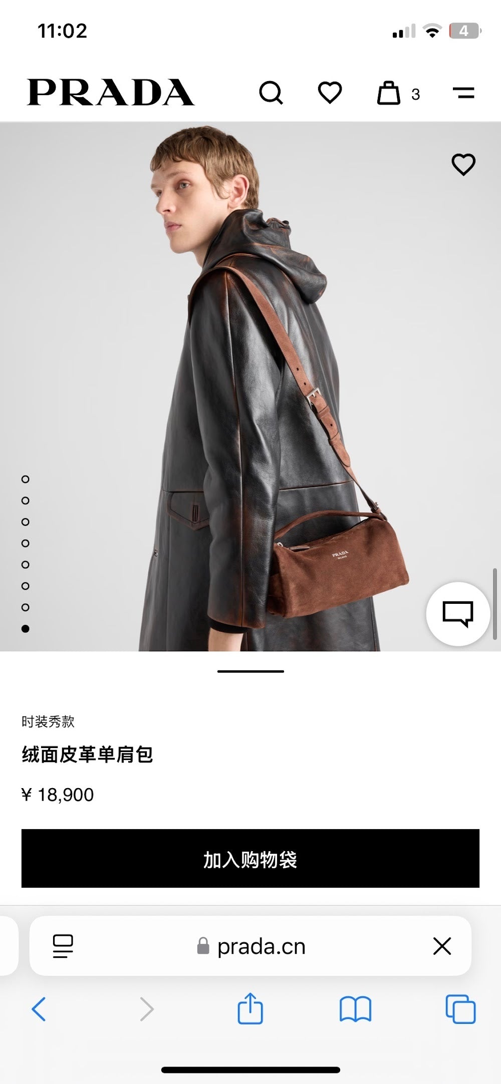 Dragons Bags Pradn Luxury Bag --102578