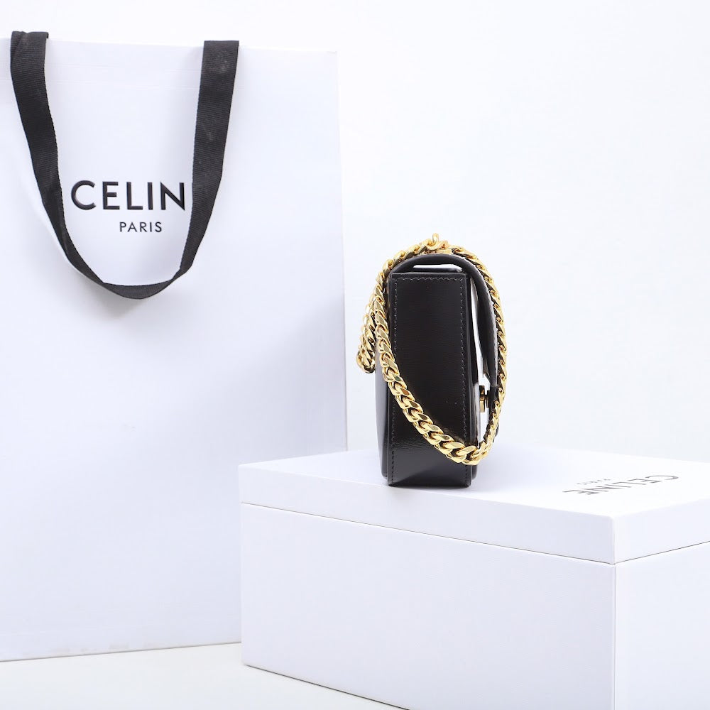 Dragons Bags Celine Luxury Bag --112149