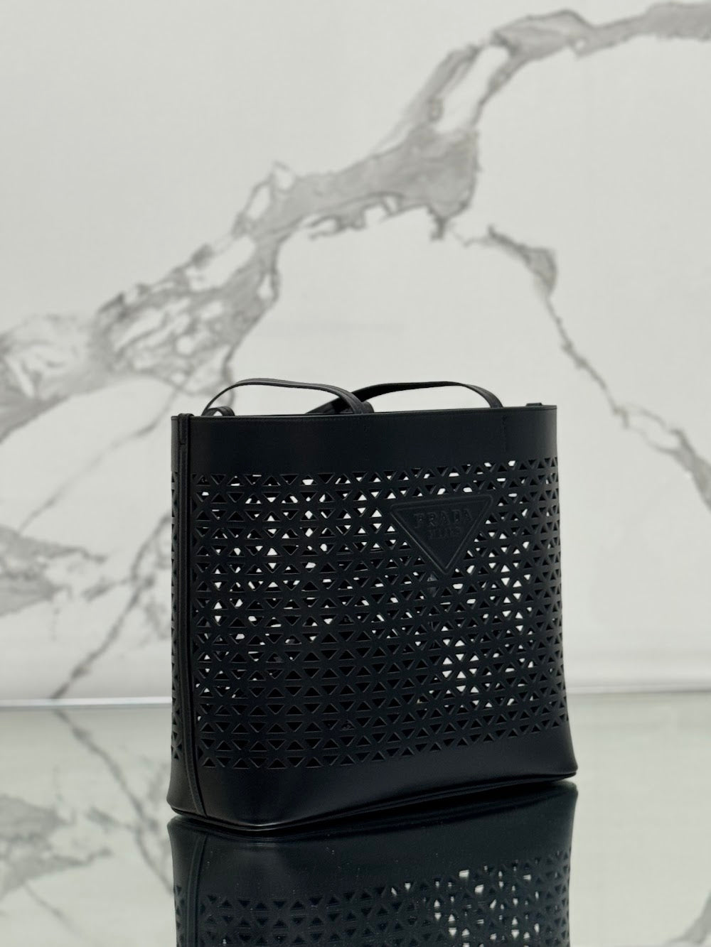 Dragons Bags Pradn Luxury Bag --101863