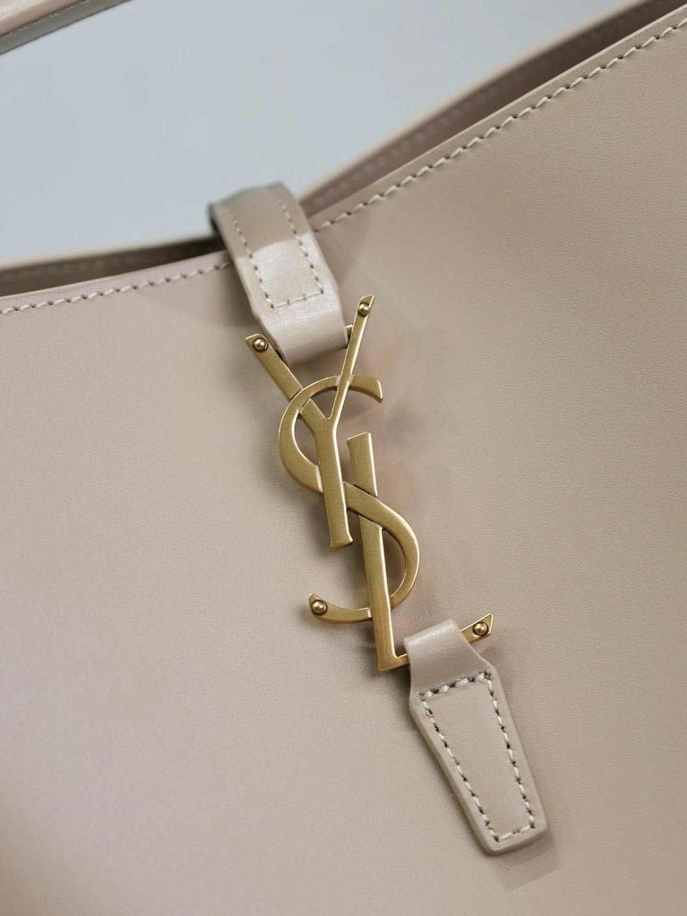 Dragons Bags YSLn Luxury Bag --119483