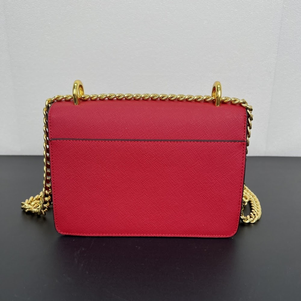 Dragons Bags pradn Luxury Bag --73214