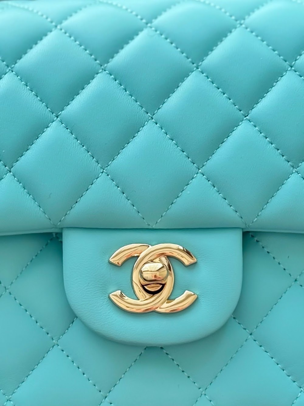 Dragons Bags CHn Luxury Bag --113018