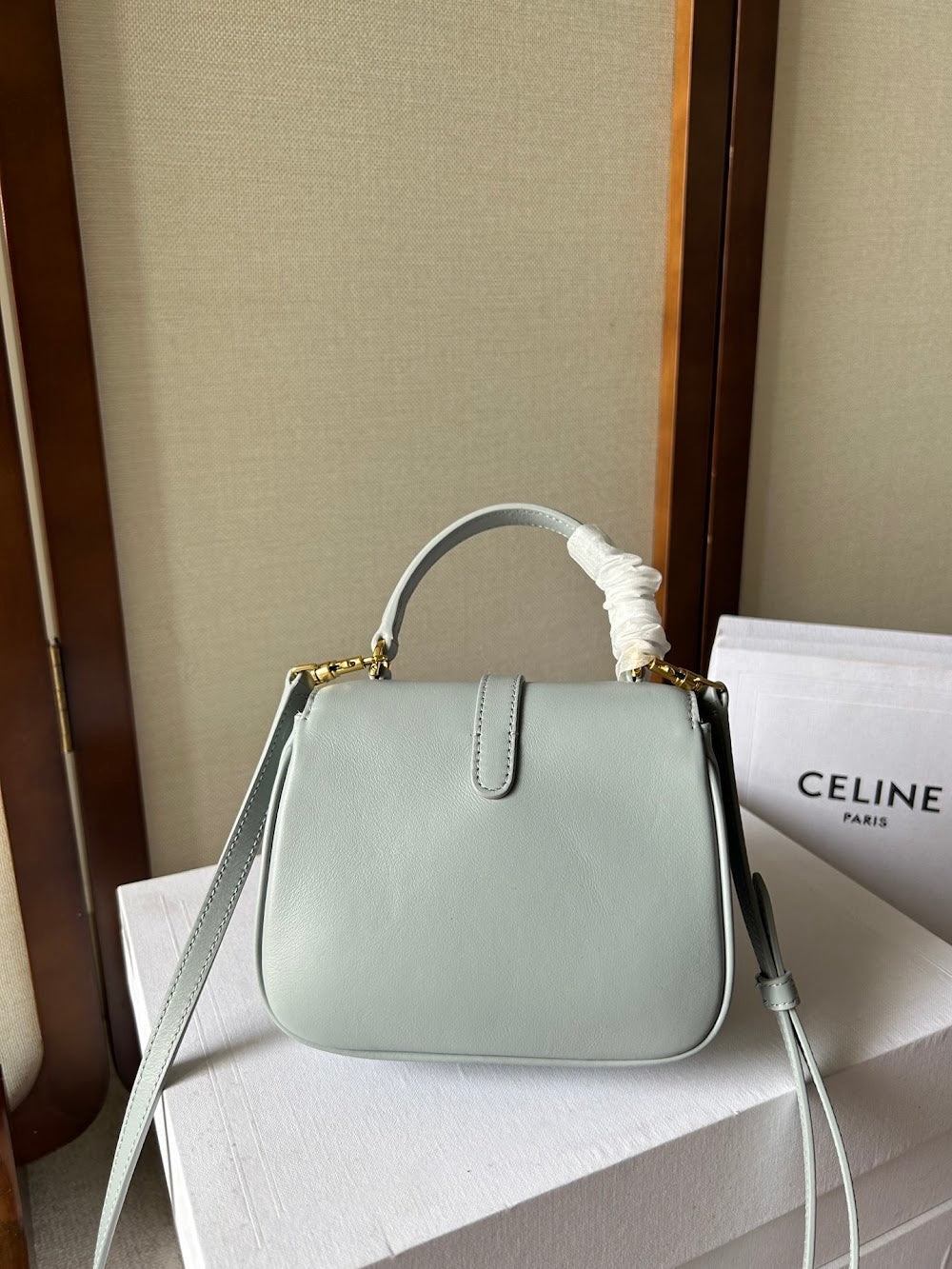 Dragons Bags Celine Luxury Bag --112515