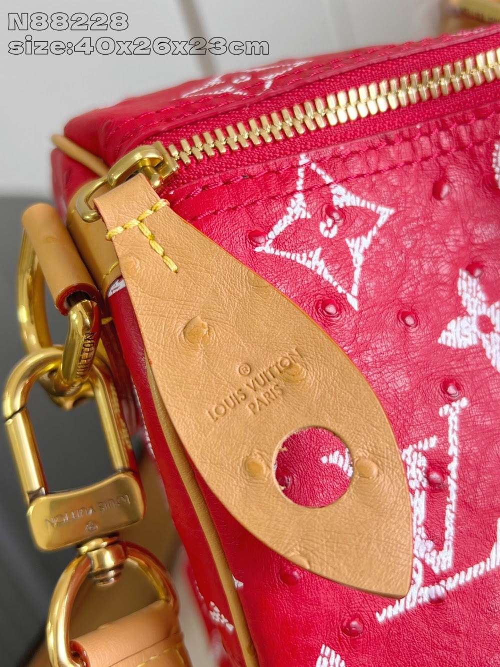 Dragons Bags ln Luxury Bag --97549