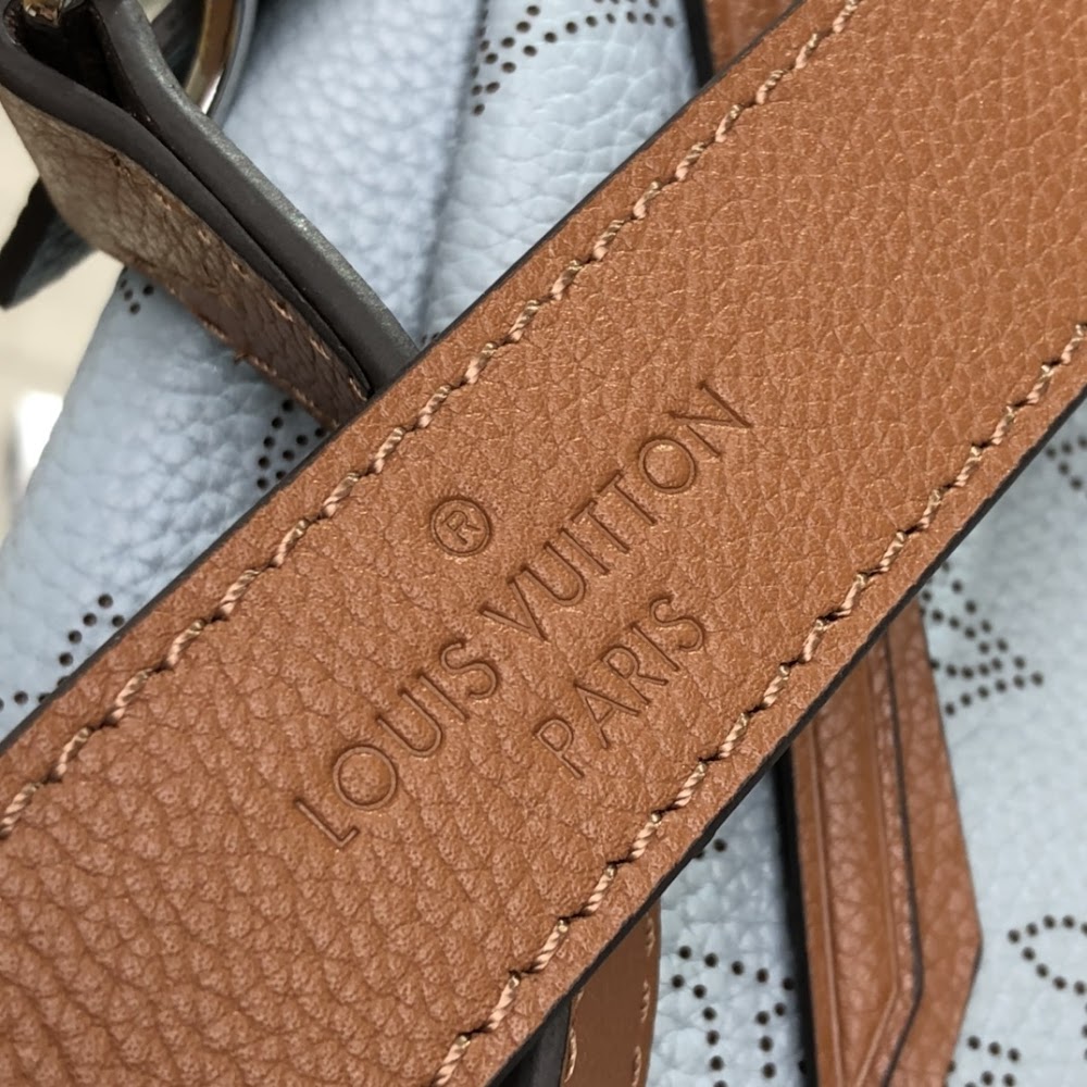Dragons Bags ln Luxury Bag --67268