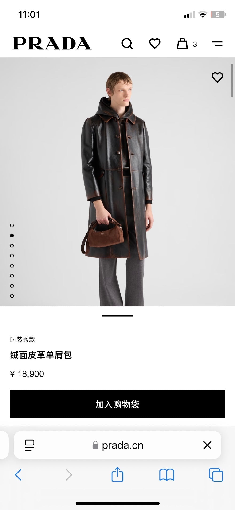 Dragons Bags Pradn Luxury Bag --102578
