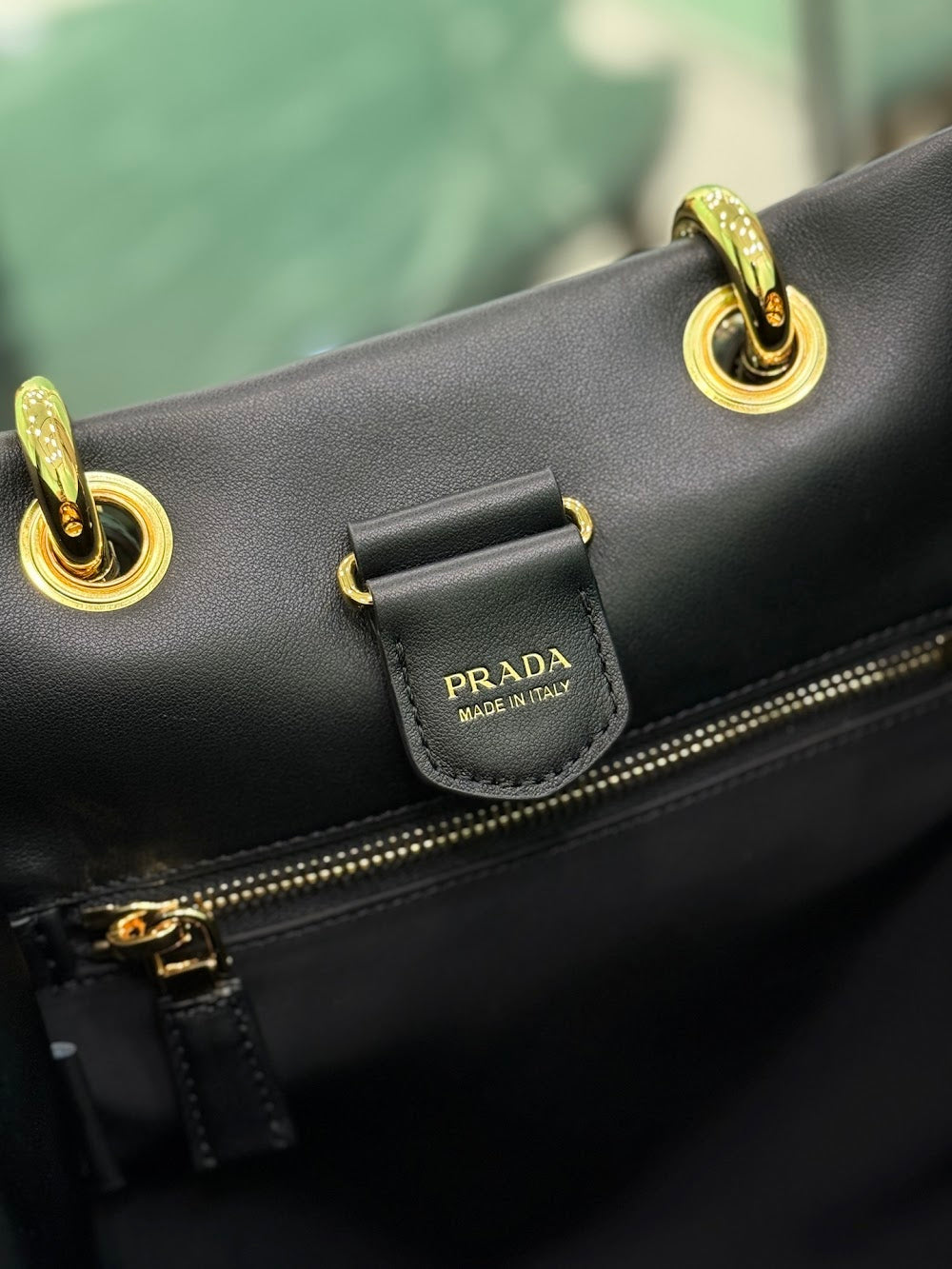 Dragons Bags Pradn Luxury Bag --102073