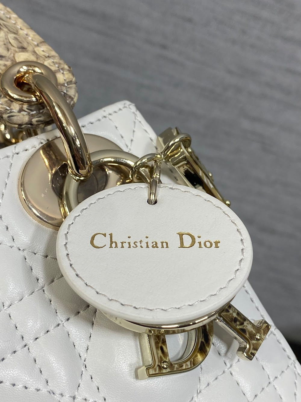 Dragons BagsDiorn Luxury Bag --115348