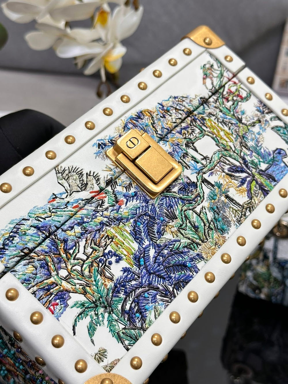 Dragons BagsDiorn Luxury Bag --114459