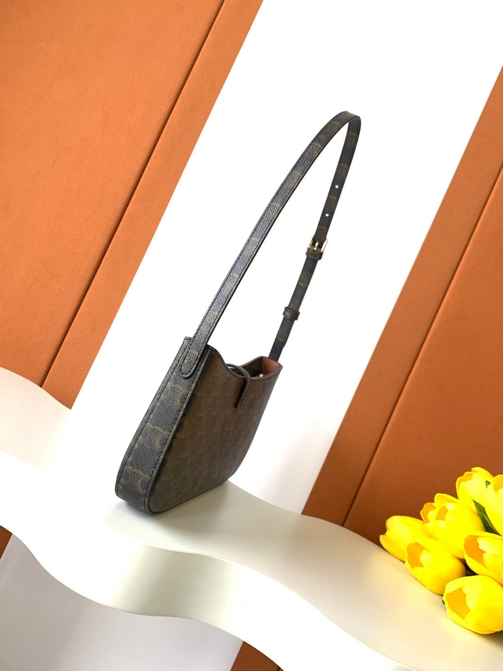 Dragons Bags Celine Luxury Bag --112197