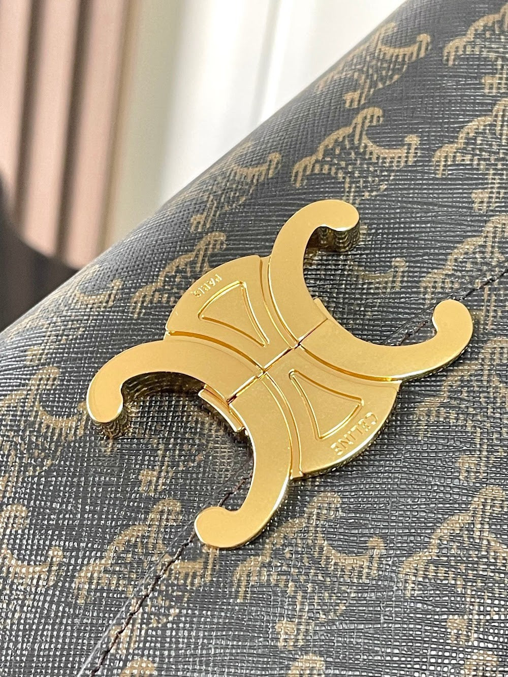 Dragons Bags Celine Luxury Bag --112329