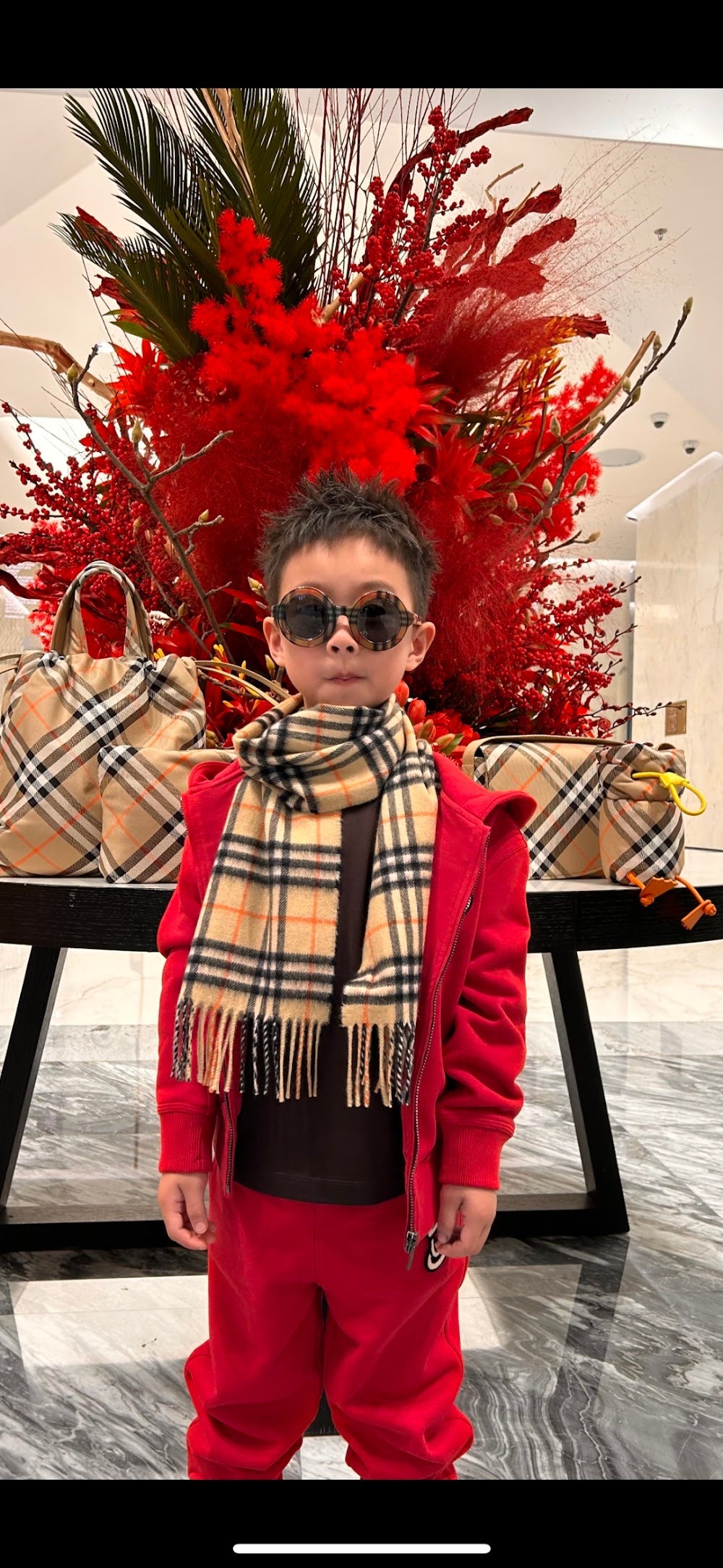 Dragons Bags Burberryn Luxury Bag --91667