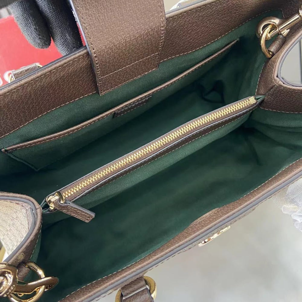 Dragons Bags Guccin Luxury Bag --94671