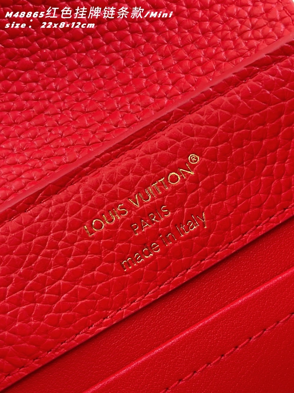 Dragons Bags ln Luxury Bag --96664