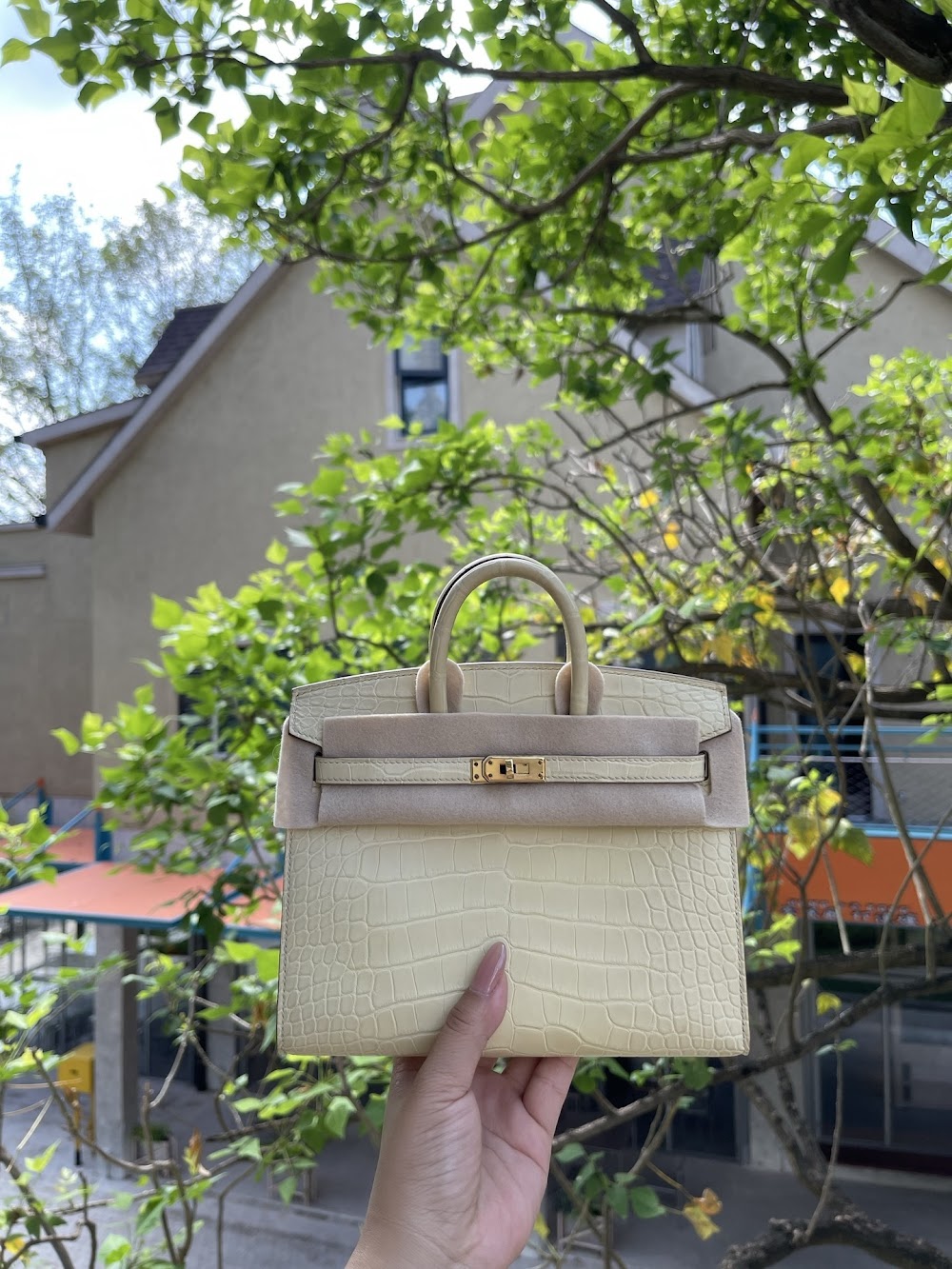 Dragons BagsHermesn Luxury Bag --117793