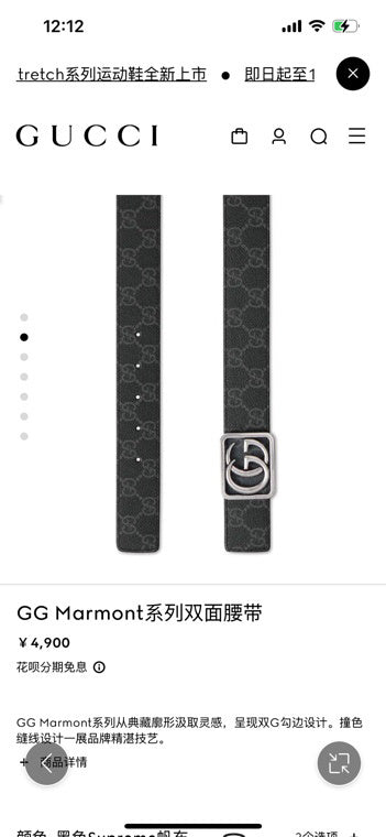 Dragons Bags Guccin Luxury Belt --105689