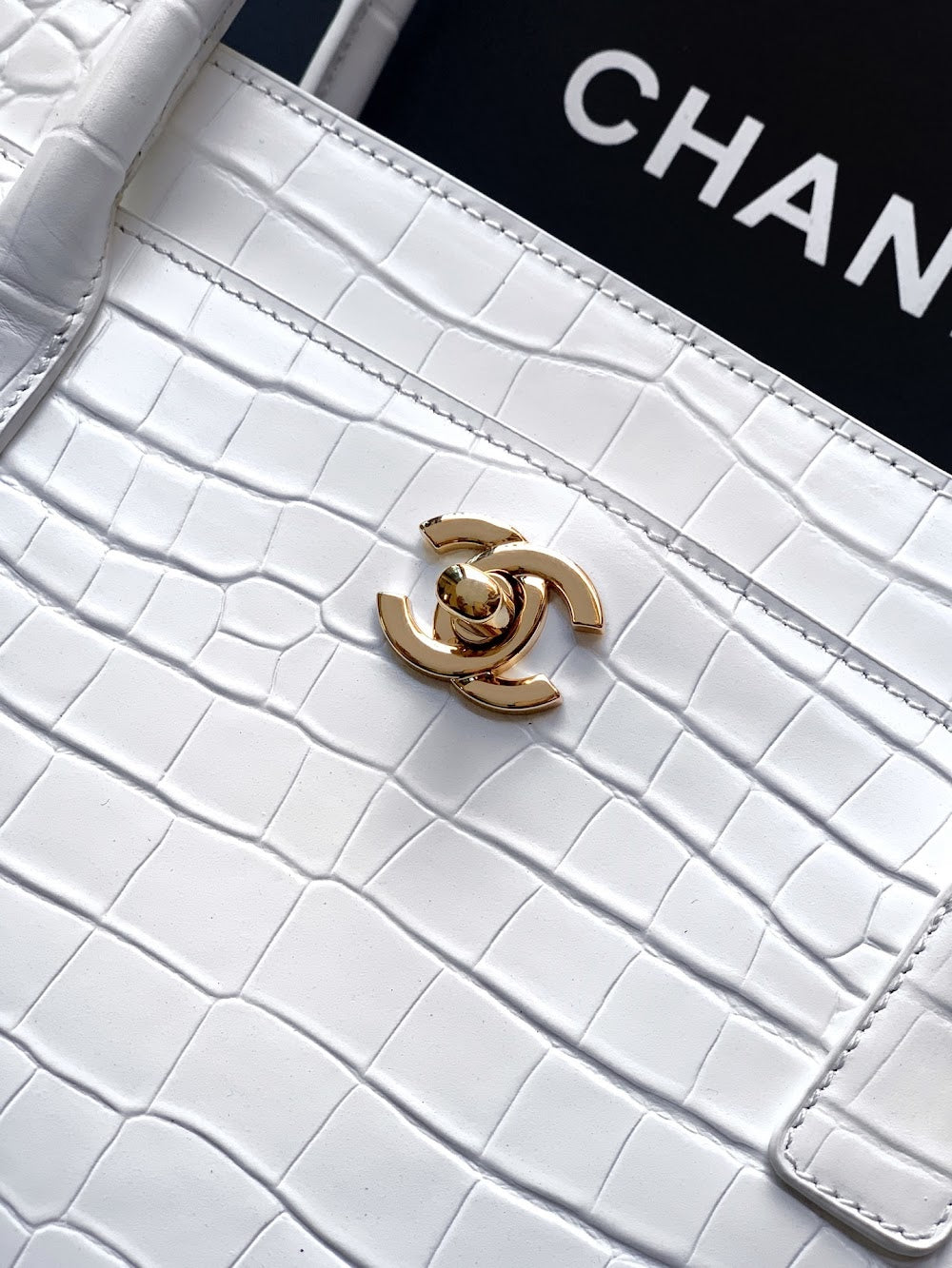 Dragons Bags CHn Luxury Bag --112793