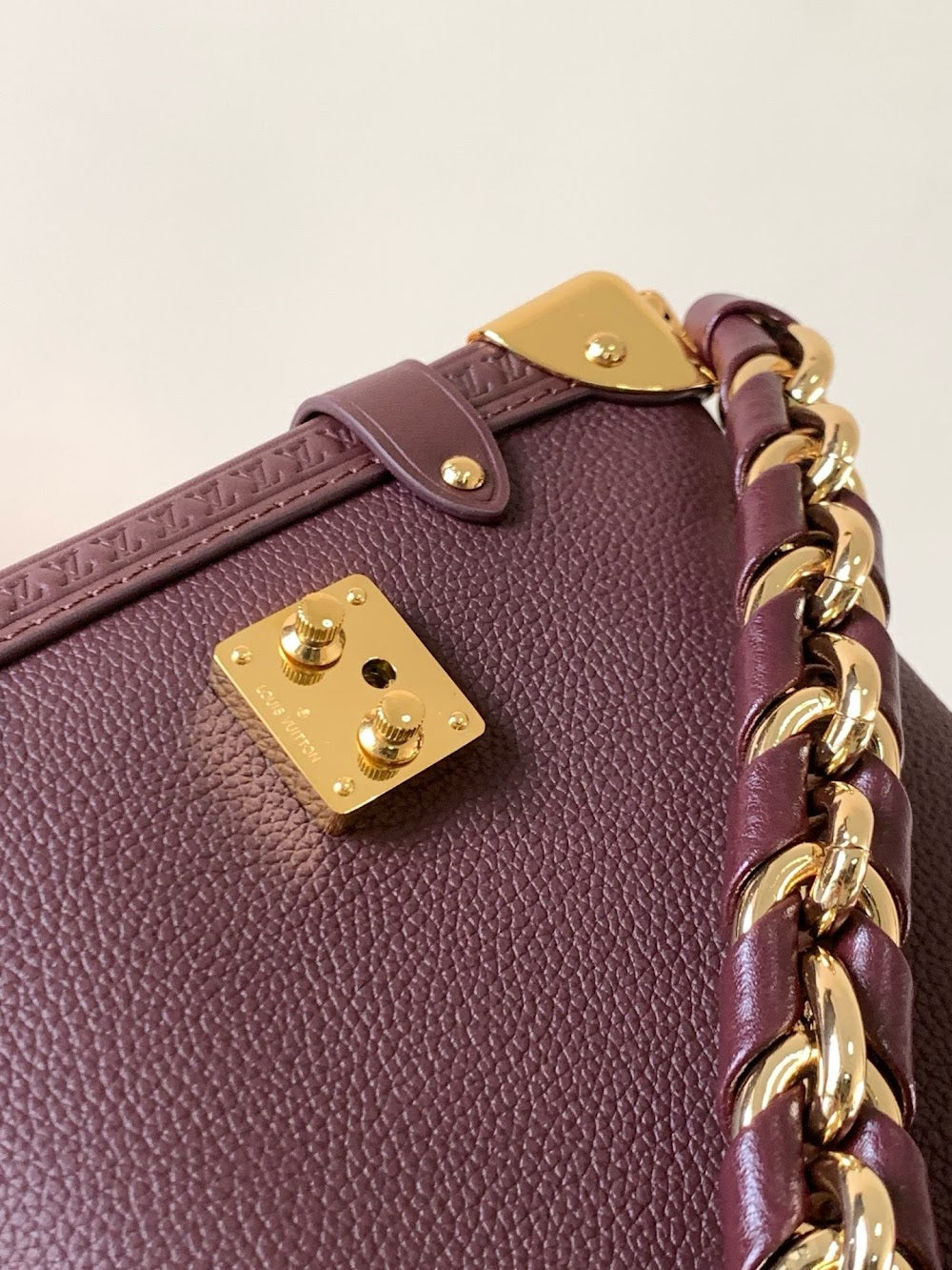 Dragons Bags LVn Luxury Bag --80425