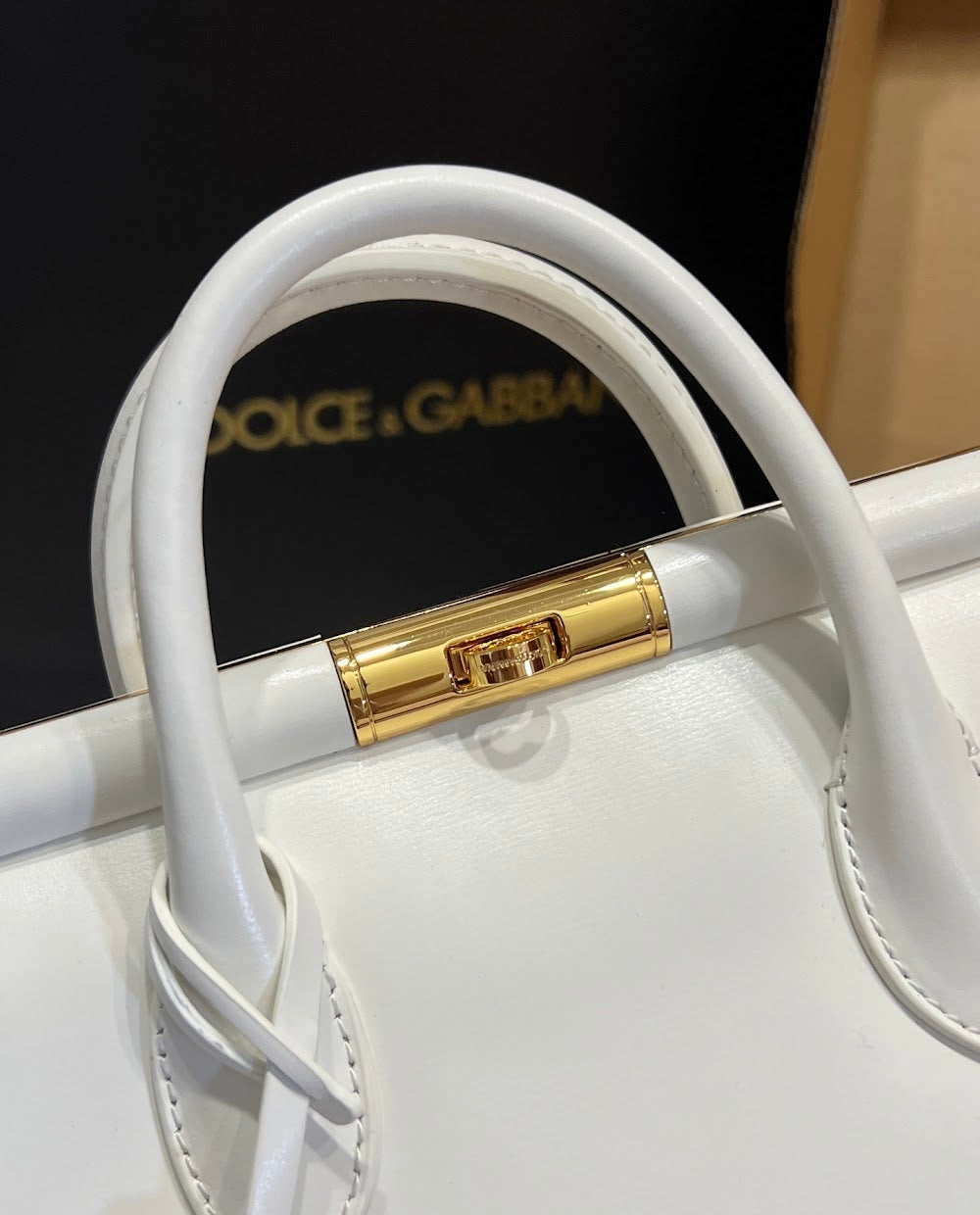Dragons Bags DGn Luxury Bag --93904