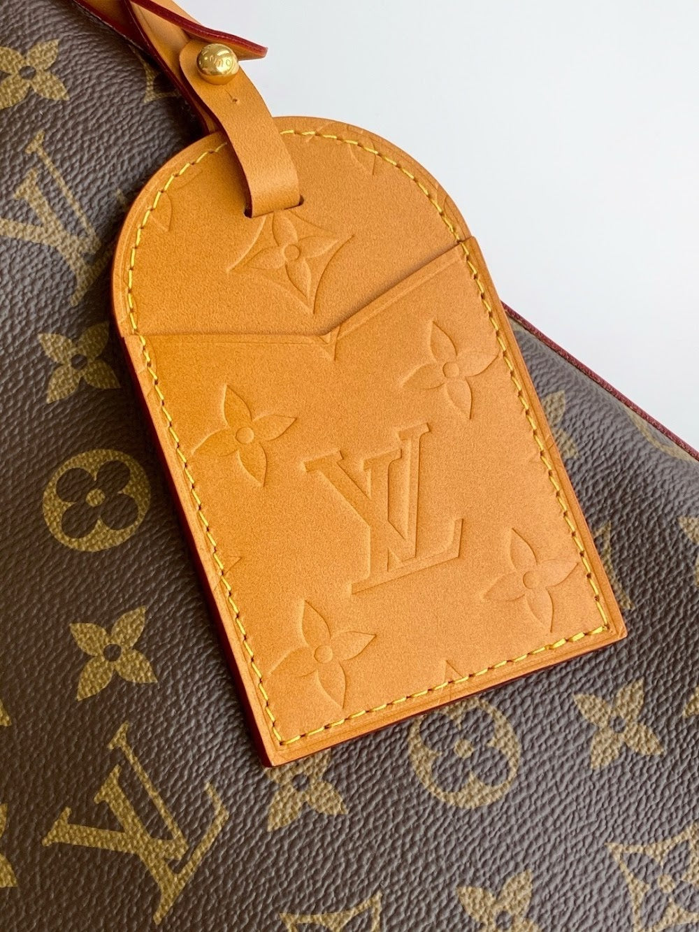 Dragons Bags LVn Luxury Bag --79469