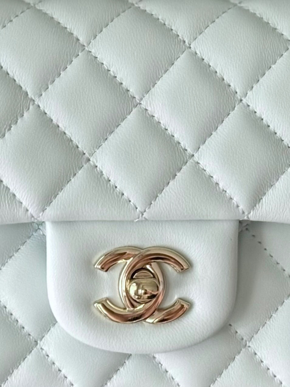 Dragons Bags CHn Luxury Bag --112997