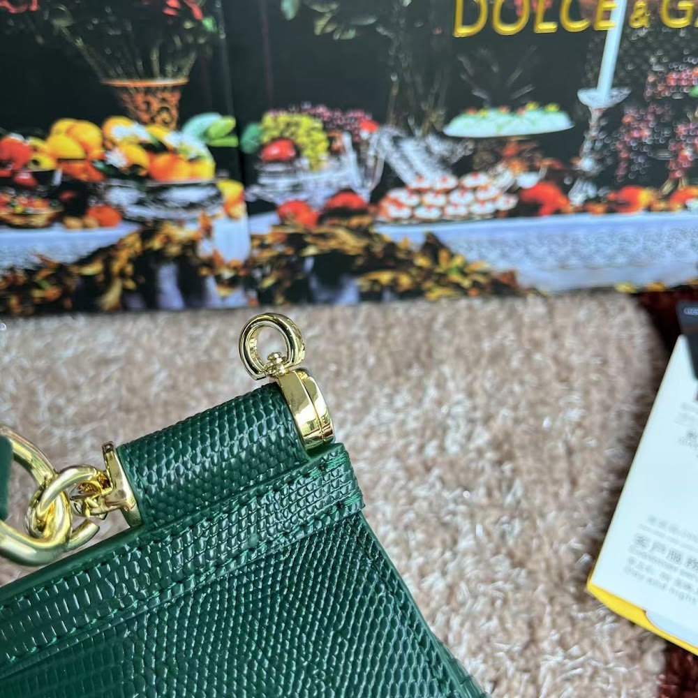 Dragons Bags DGn Luxury Bag --94134