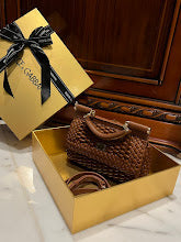 new-luxury-designer-bags-nm6903