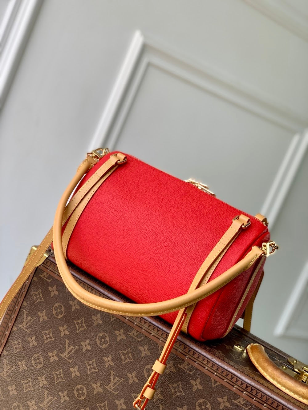 Dragons Bags ln Luxury Bag --96700