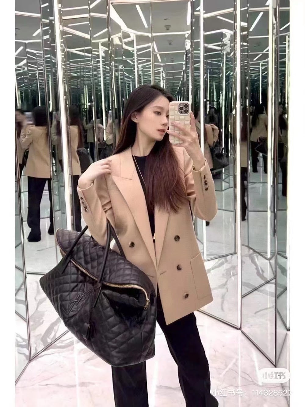 Dragons Bags YSLn Luxury Bag --120208