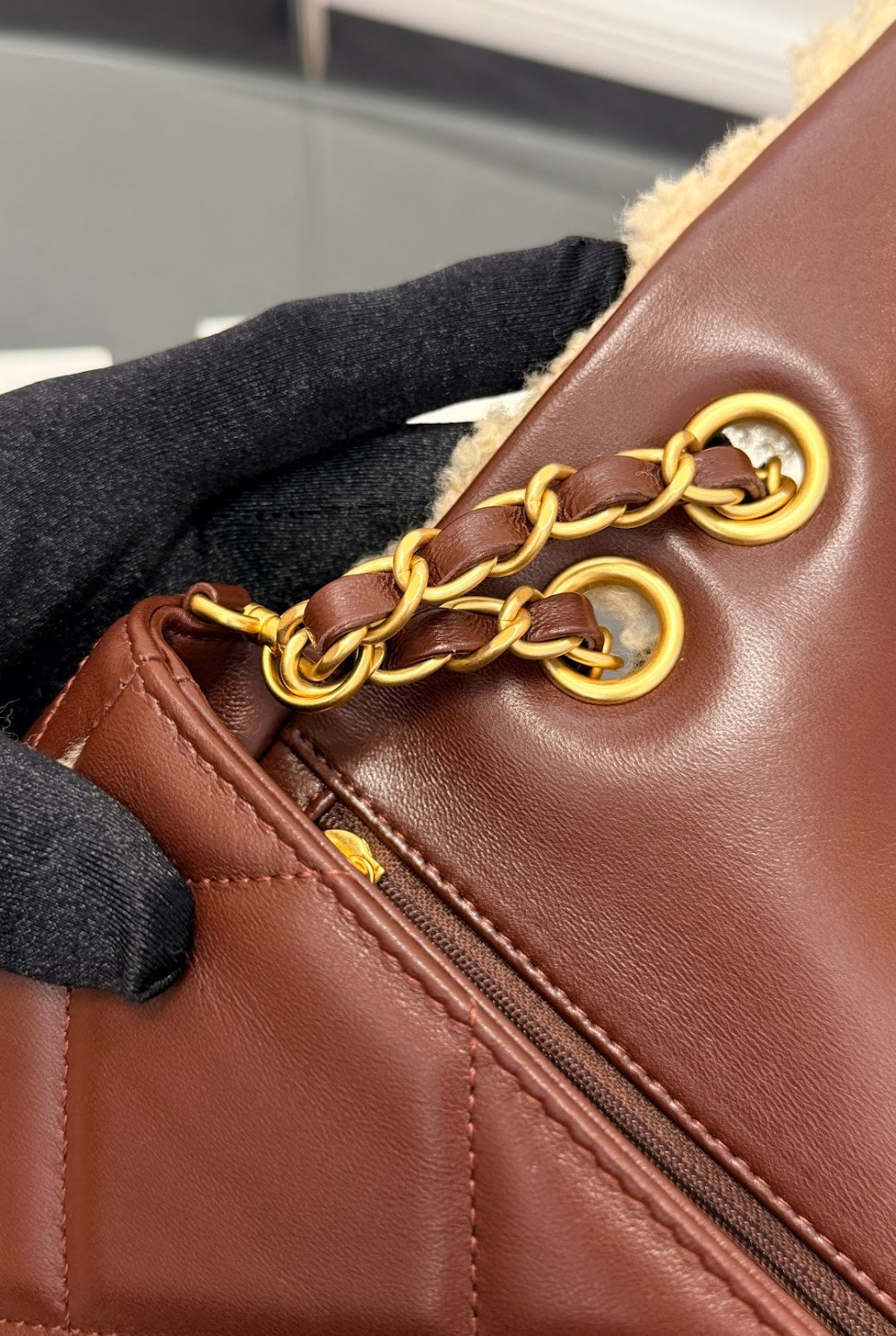 Dragons Bags CHn Luxury Bag --112845