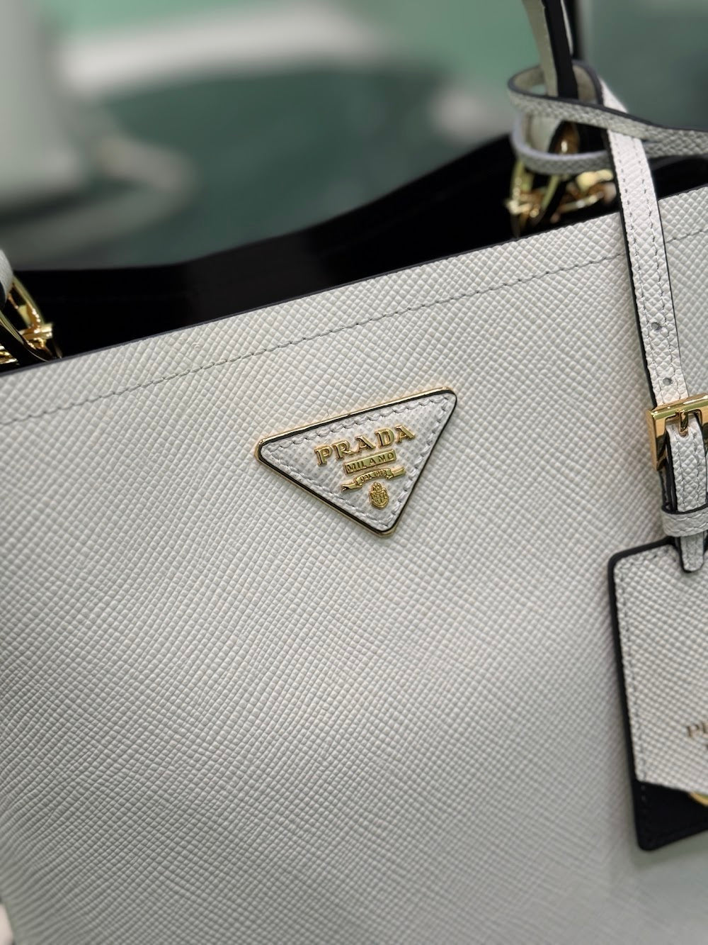 Dragons Bags Pradn Luxury Bag --102110